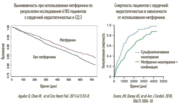 
        Метформин: лечение диабета или нечто большее?			    