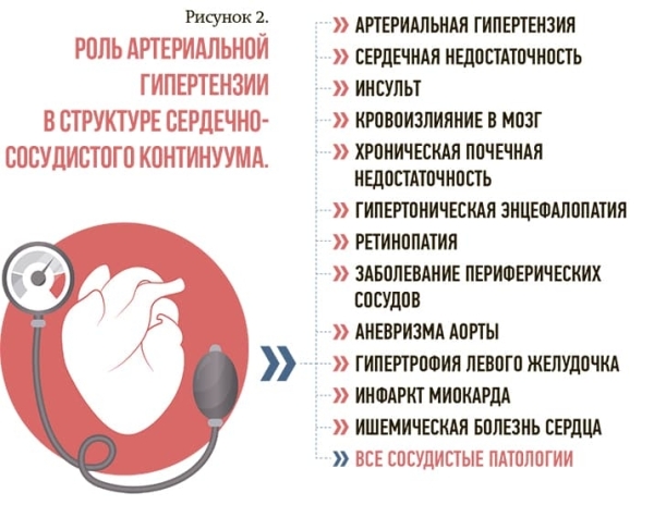 Старение и хронические мультифакториальные болезни			
        
         
        Старение и хронические мультифакториальные болезни