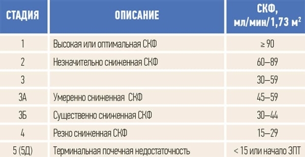 
        Нефропротекция на практике: что нового?			    
