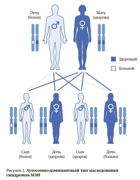 
        Онкоэндокринология: синдром множественной эндокринной неоплазии 2А типа			    