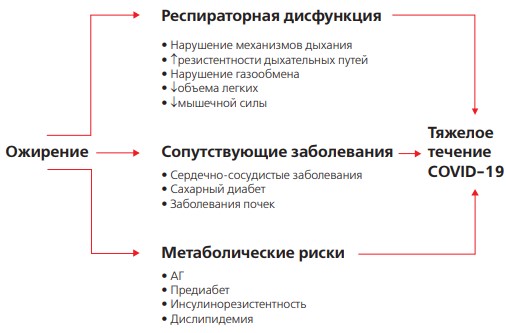 Эндокринные и метаболические риски при COVID-19. Часть 1. Ожирение			     
        Эндокринные и метаболические риски при COVID-19. Часть 1. Ожирение
