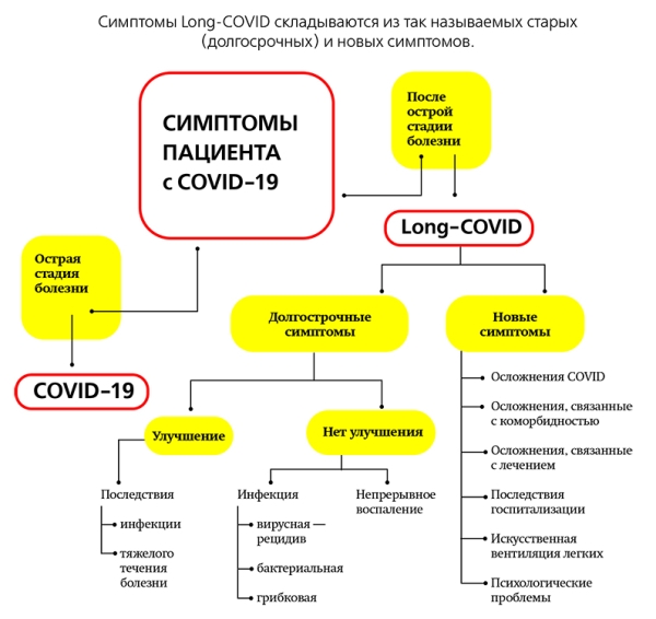 Постковидный синдром: наука в начале пути			
        
         
        Постковидный синдром: наука в начале пути