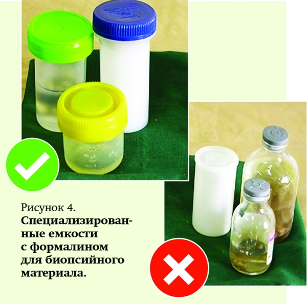 Патогистологическое сопровождение при диагностике заболеваний			     
        Патогистологическое сопровождение при диагностике заболеваний