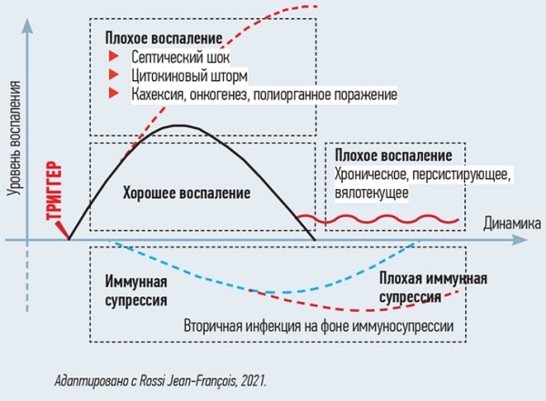 
        Пять частых ошибок антибиотикотерапии респираторных инфекций в амбулаторной практике			    