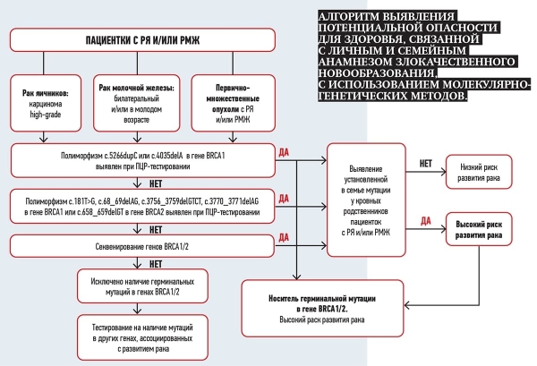 
        Рак молочной железы: особенности профилактики и ранней диагностики			    