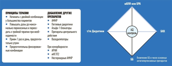 
        Важные вопросы. Ведение пациента с артериальной гипертензией			    