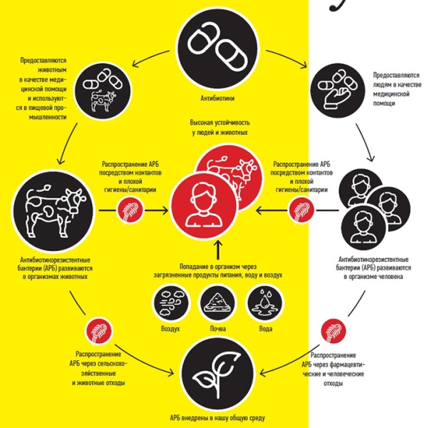 Устойчивость к антибиотикам... витает в воздухе			     
        Устойчивость к антибиотикам... витает в воздухе