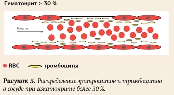 
        Эритроцитоз: причины, диагностический поиск, коррекция			    