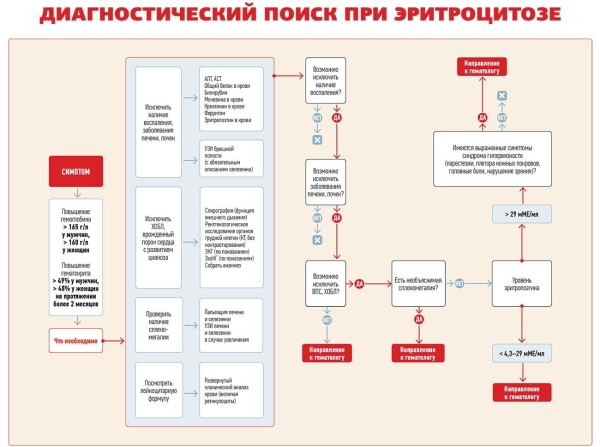 
        Эритроцитоз: причины, диагностический поиск, коррекция			    