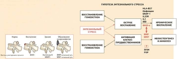 Псориатический артрит: диагностика и тактика ведения пациента			     
        Псориатический артрит: диагностика и тактика ведения пациента