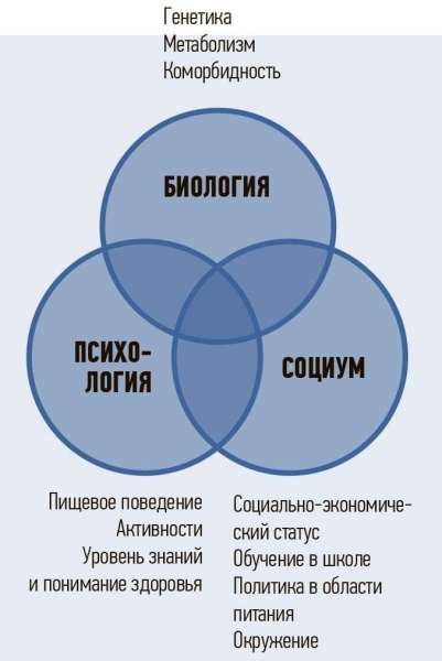Ожирение и дефицит витамина Д. Есть ли взаимосвязь?			     
        Ожирение и дефицит витамина Д. Есть ли взаимосвязь?