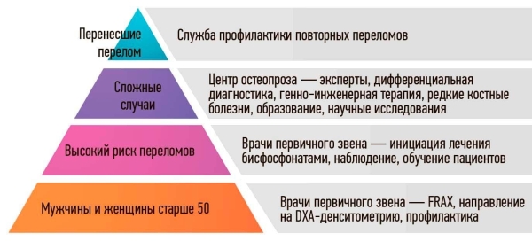 Остеопороз: болезнь «хрупкого» возраста			     
        Остеопороз: болезнь «хрупкого» возраста