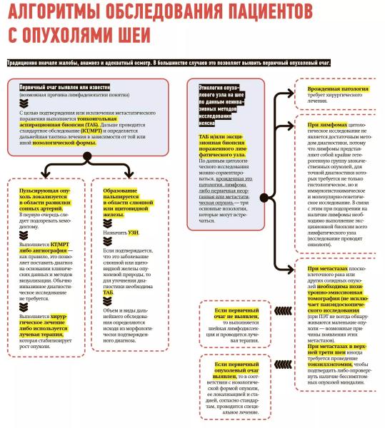 
        Диагностика образований шеи: точно ли это опухоль и где ее источник?                    