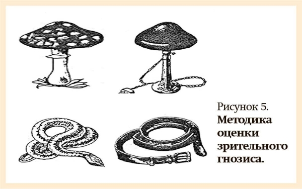
        Распознать вовремя. Ранняя диагностика болезни Альцгеймера                    
