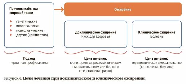 
        Клиническое и доклиническое ожирение: новая концепция диагностики заболевания                    