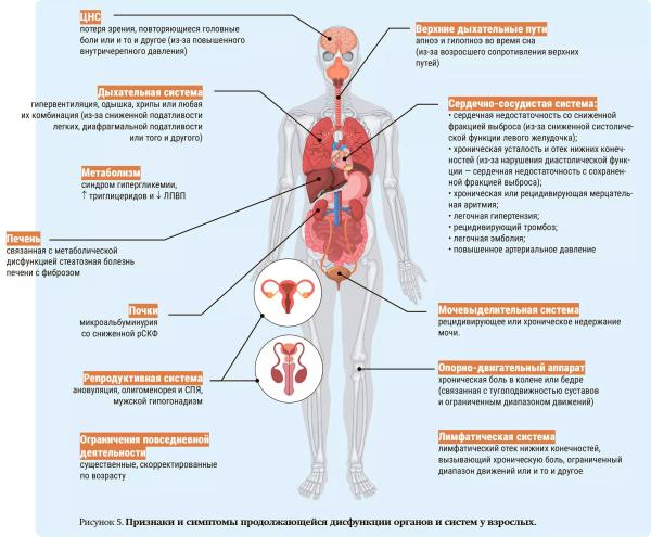 
        Клиническое и доклиническое ожирение: новая концепция диагностики заболевания                    