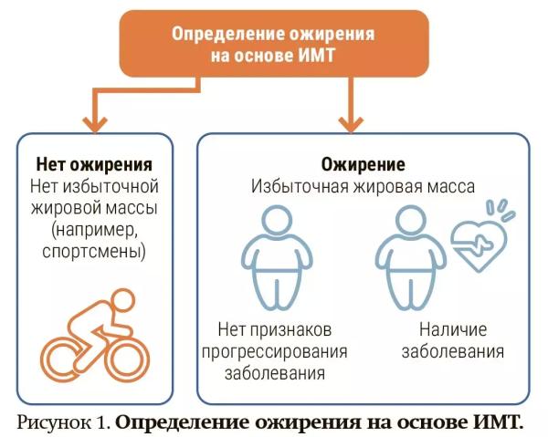 
        Клиническое и доклиническое ожирение: новая концепция диагностики заболевания                    