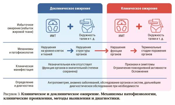 
        Клиническое и доклиническое ожирение: новая концепция диагностики заболевания                    