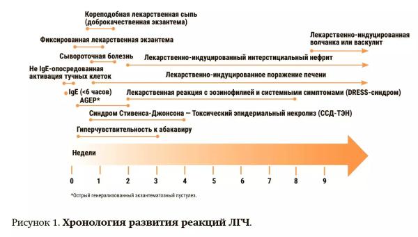 
        Диагностика лекарственной гиперчувствительности                    