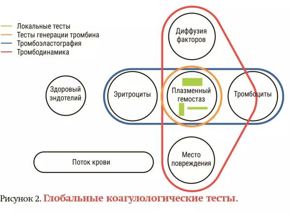 
        Разбираем гемостаз вместе. Основные тесты и их место в клинической практике:  где, когда и для чего применять?                    