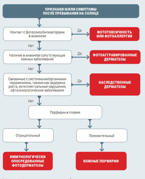 
        Фотодерматозы: фототоксические ожоги, аллергические реакции и солнечная крапивница                    