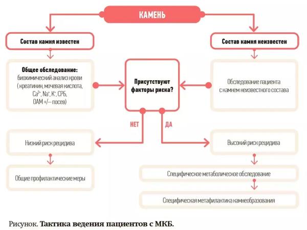 
        Метафилактика мочекаменной болезни                    