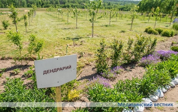 
        Новый зеленый фитосезон открыт!			    