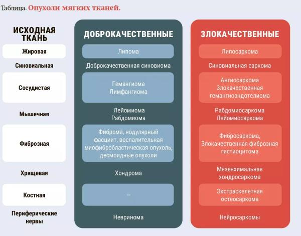 
        Александр Жуковец: «К любому образованию в мягких тканях надо относиться как к потенциальной саркоме»                    