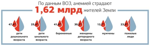 
        Анемия в общей терапевтической практике			    