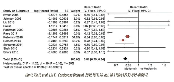 
        Метформин: лечение диабета или нечто большее?			    
